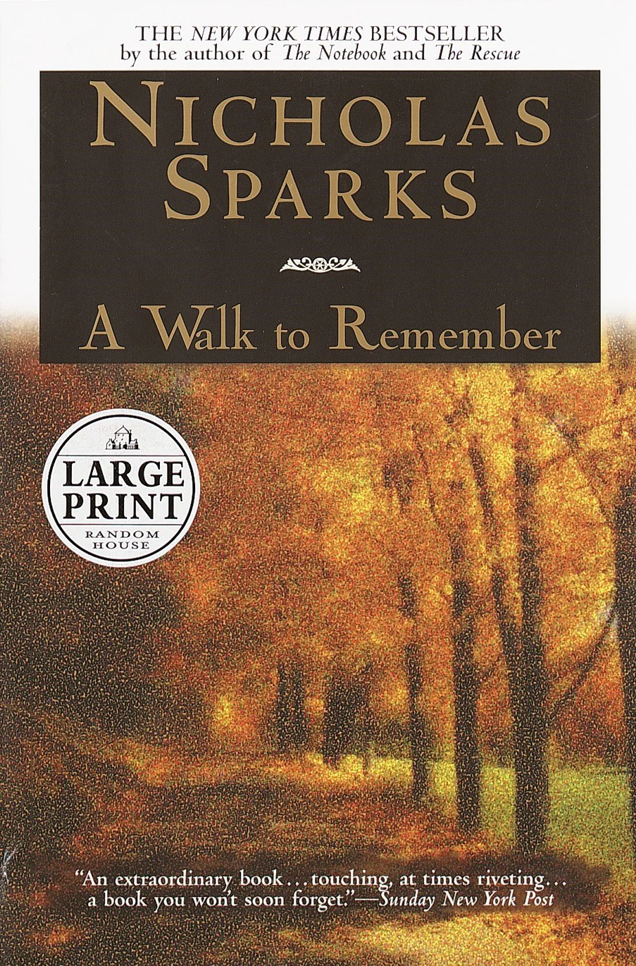 A Walk to Remember (Large Print)