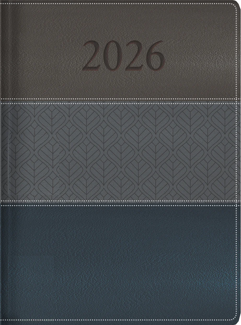 AGENDA EJECUTIVA 2026 - TDS - Image 2
