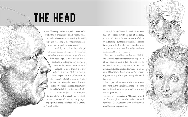 Anatomy for Artists - Image 5