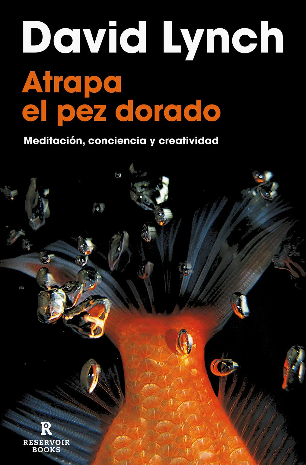 Atrapa el pez dorado (Catching The Big Fish Spanish Edition)
