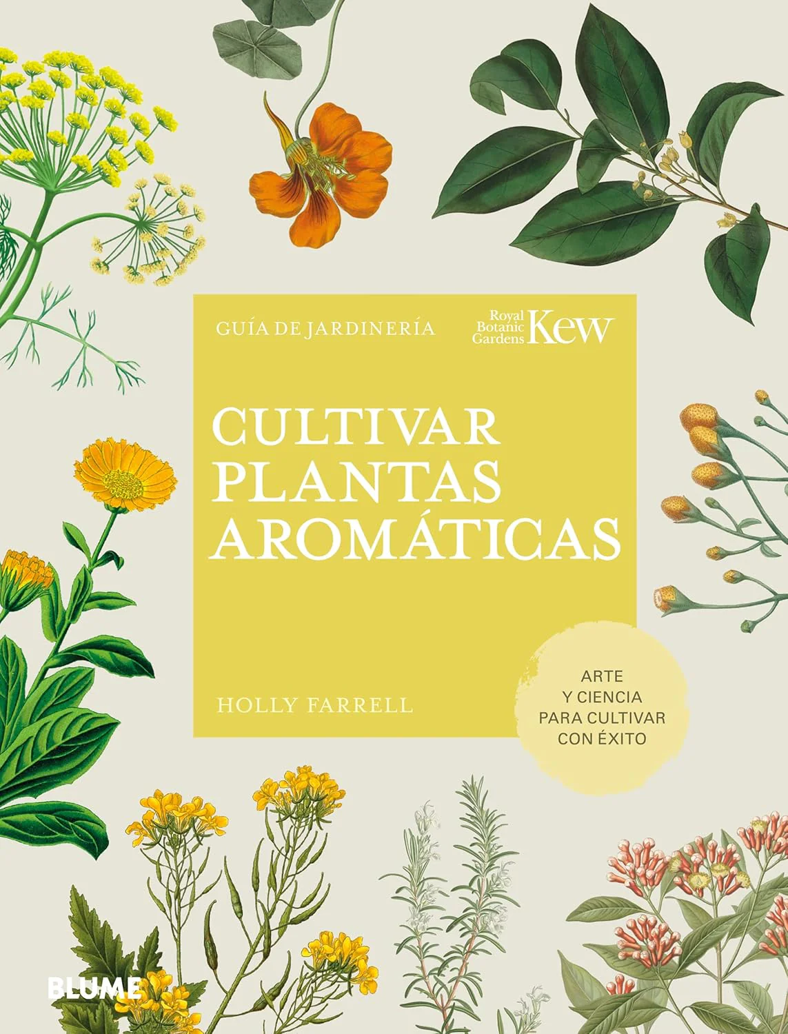 Cultivar plantas aromáticas: Guía de jardinería