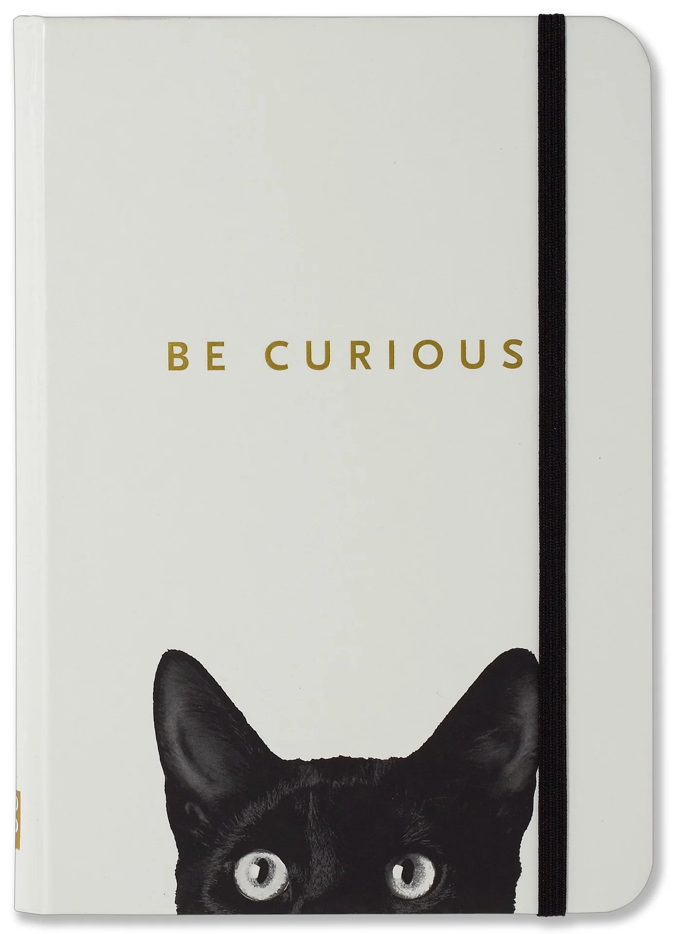 CURIOUS CAT JOURNAL