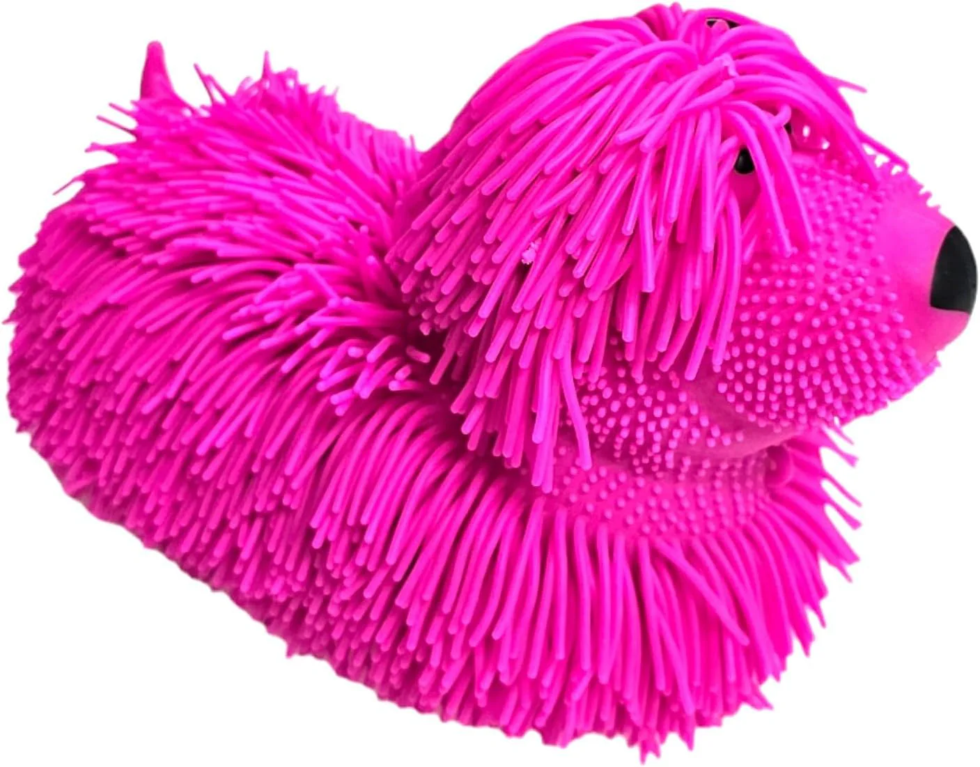 Furry Friends- Shaggy Dog