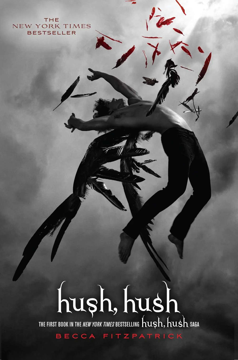 Hush, Hush ( Hush, Hush Saga )