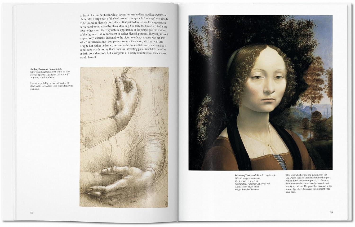 Leonardo - Image 3