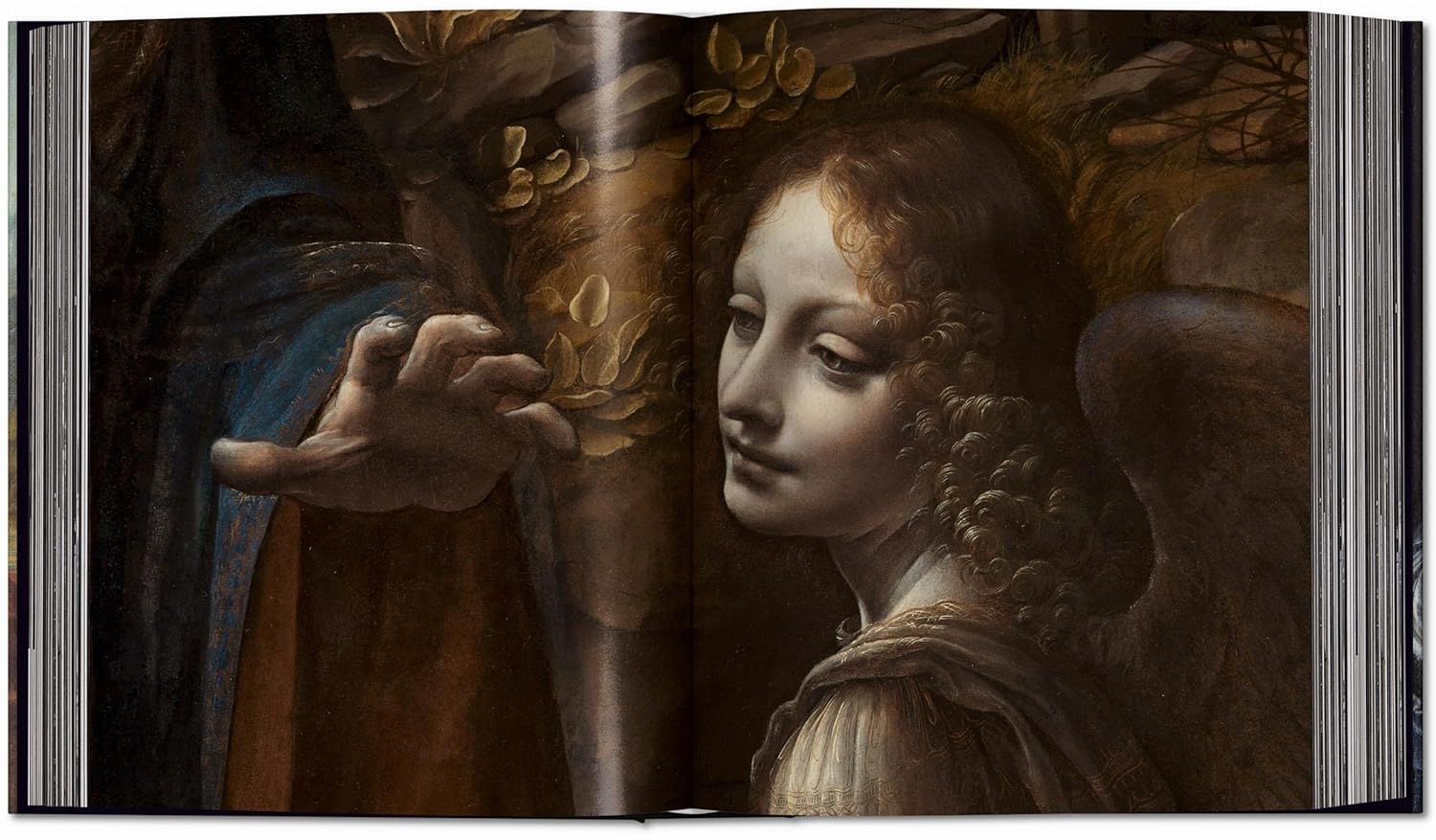 Leonardo: The Complete Paintings and Drawings - Image 3