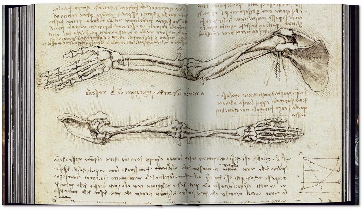 Leonardo: The Complete Paintings and Drawings - Image 6