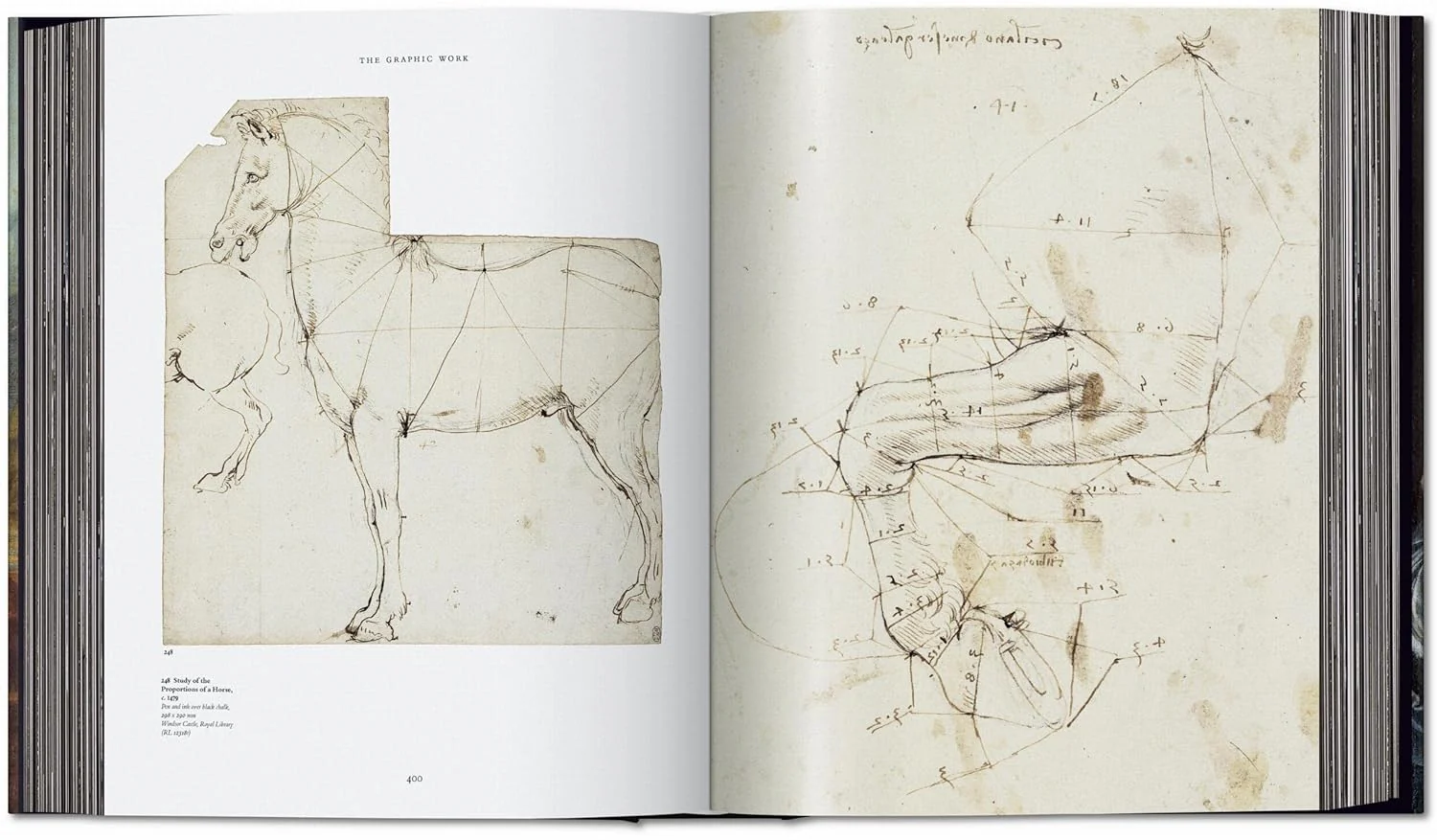 Leonardo: The Complete Paintings and Drawings - Image 7