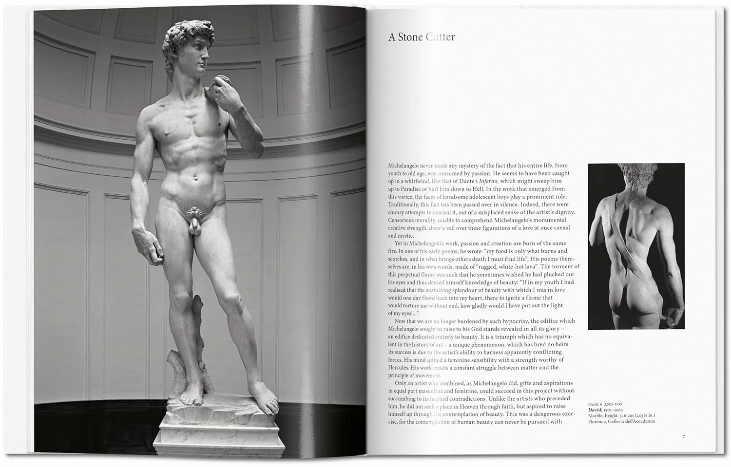 Michelangelo - Image 2