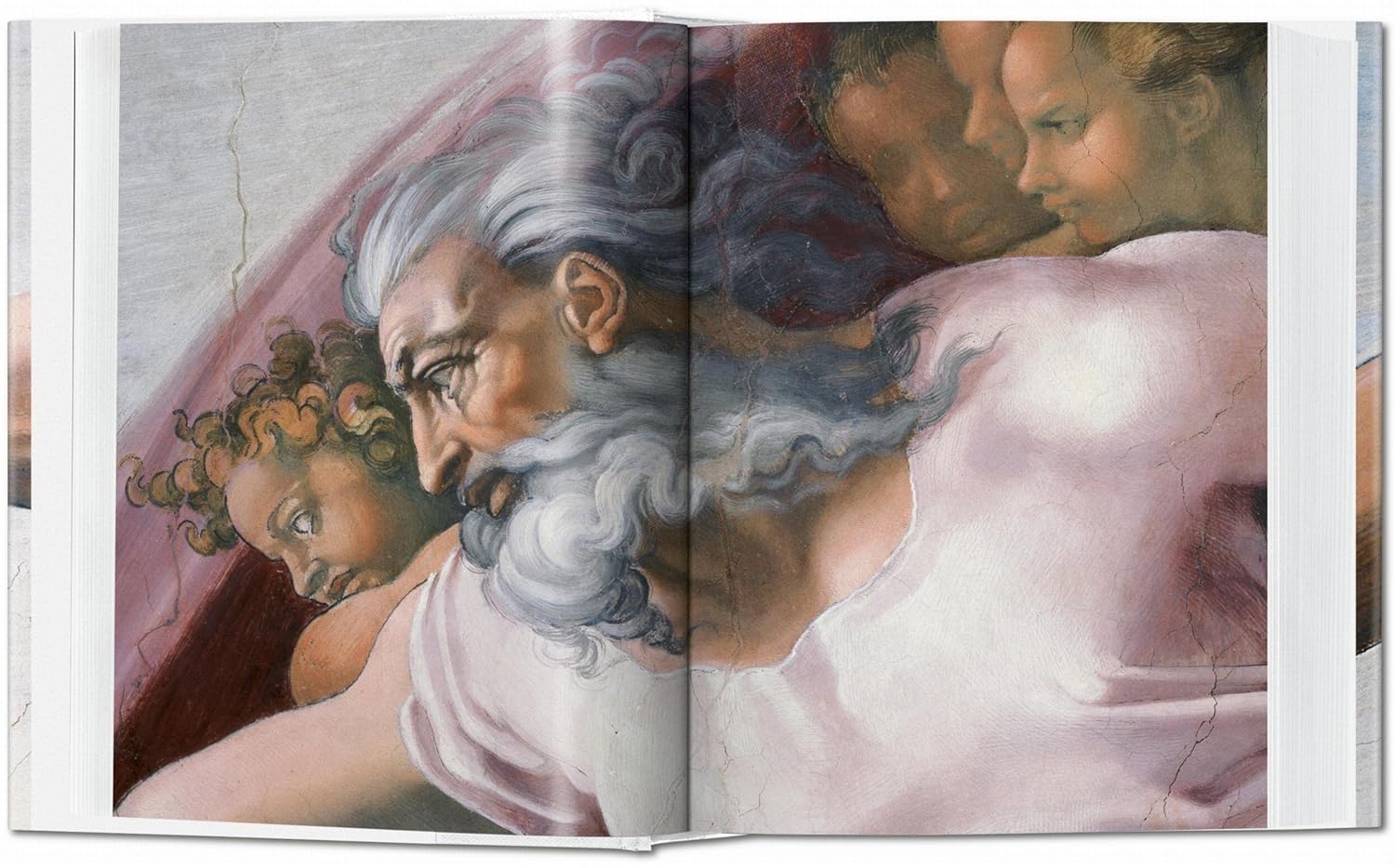 Michelangelo: The Complete Paintings, Sculptures and Architecture - Image 2