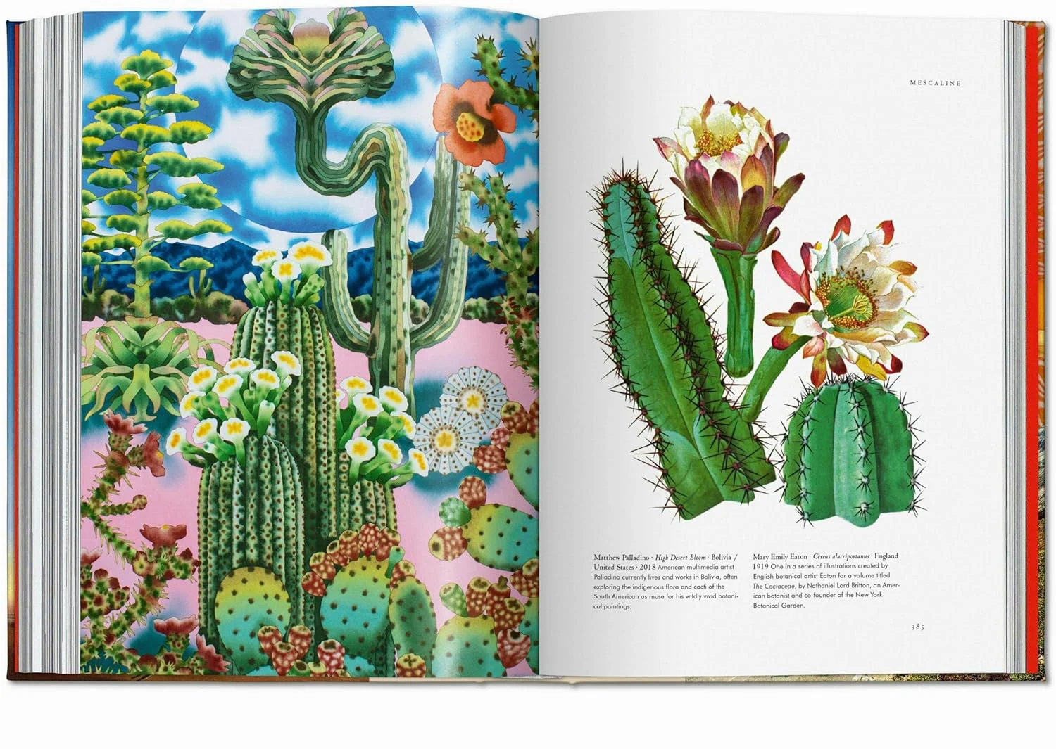 Plant Magick (The Library of Esoterica, Book 4) - Image 10