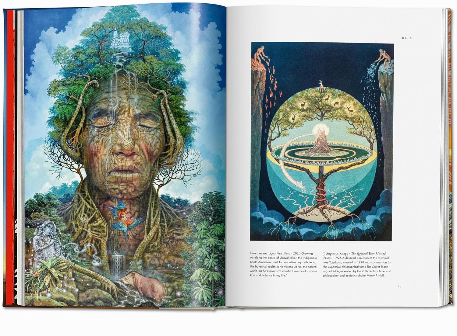 Plant Magick (The Library of Esoterica, Book 4) - Image 16