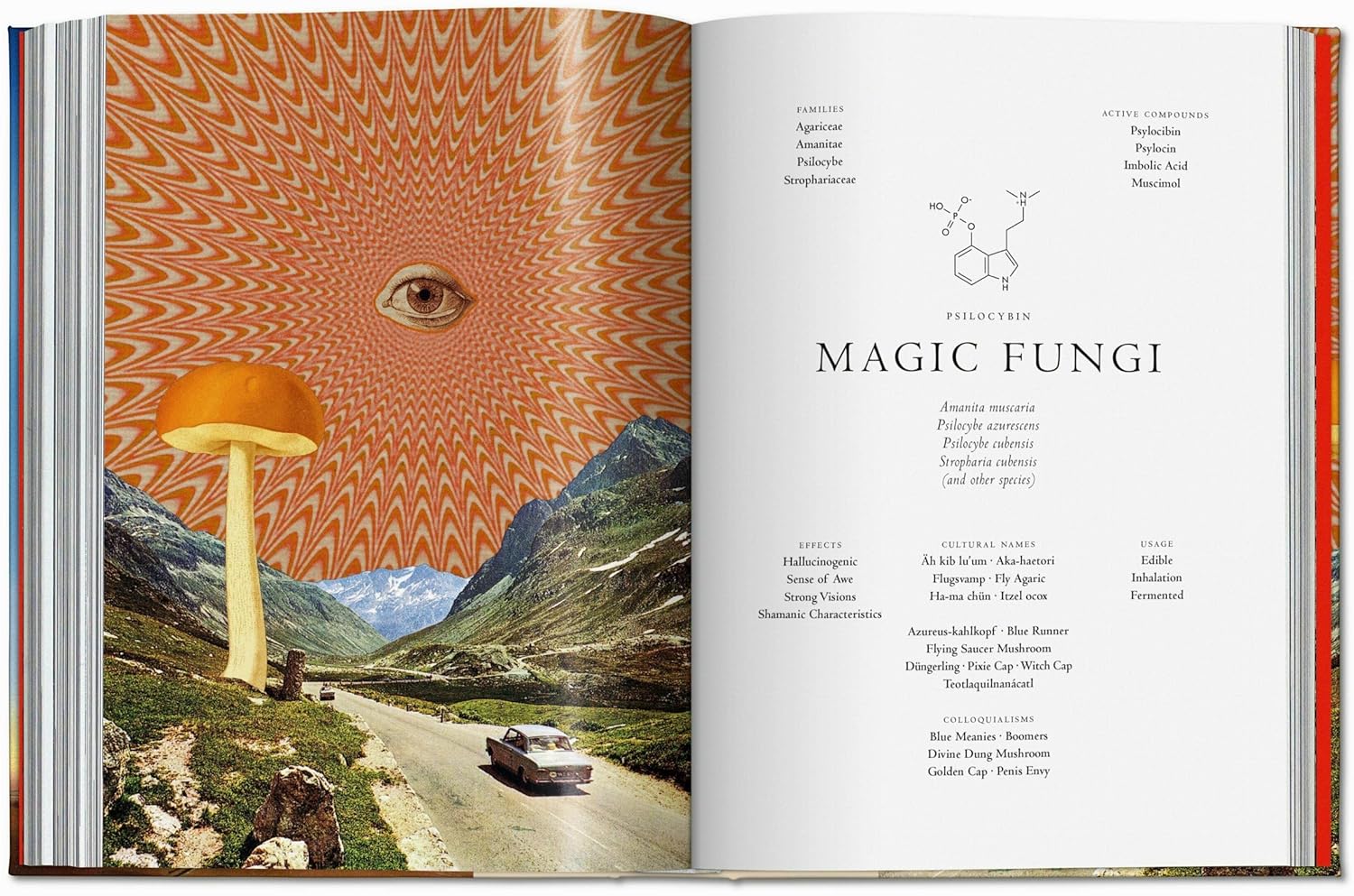 Plant Magick (The Library of Esoterica, Book 4) - Image 5