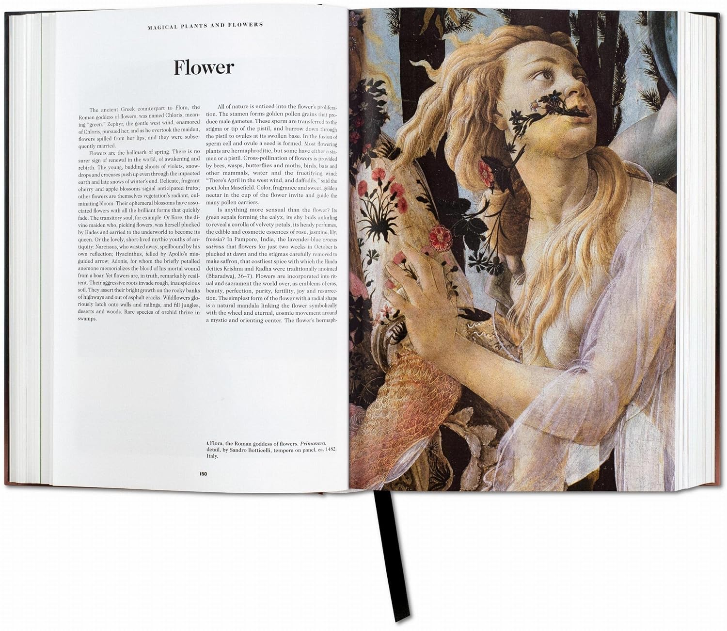 The Book of Symbols: Reflections on Archetypal Images - Image 5