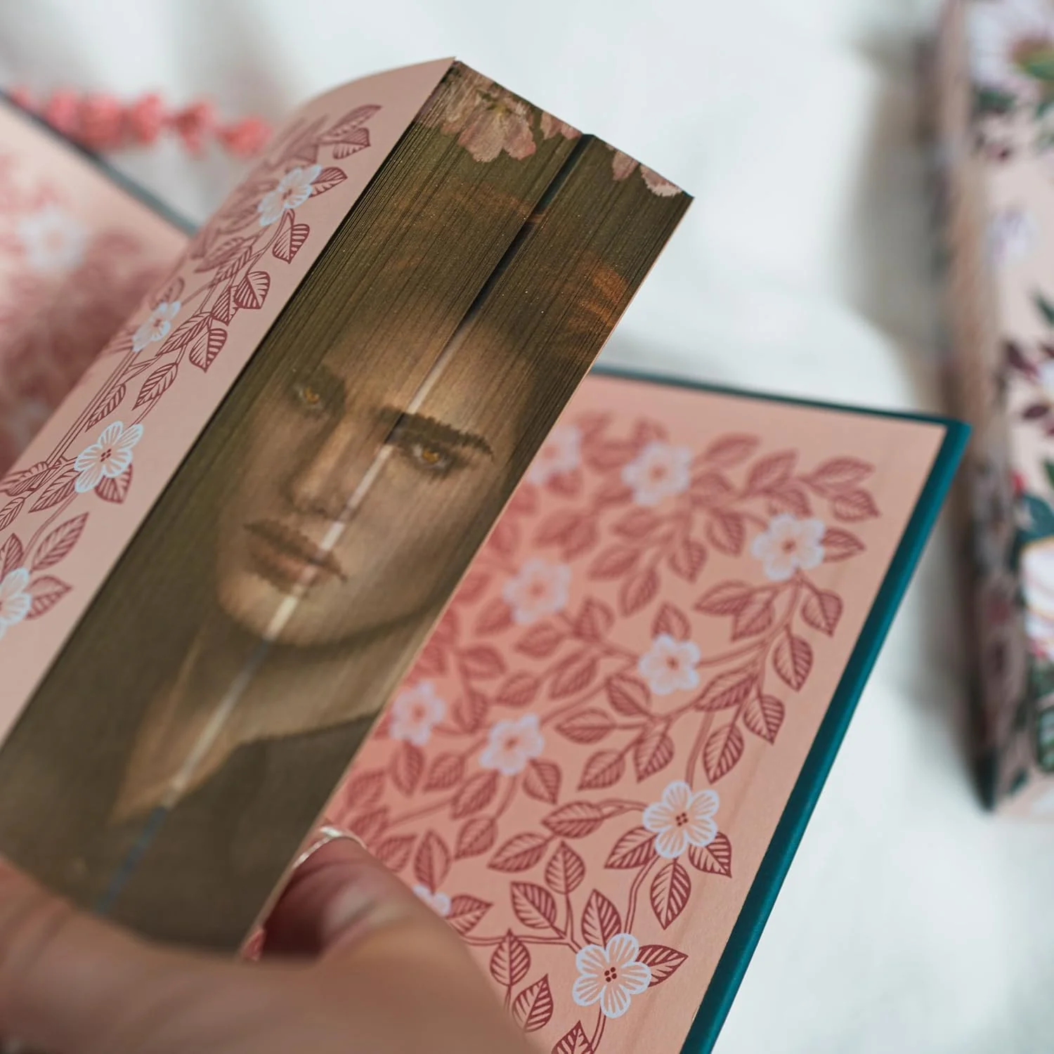 Twilight: Deluxe Collector’s Edition - Image 6